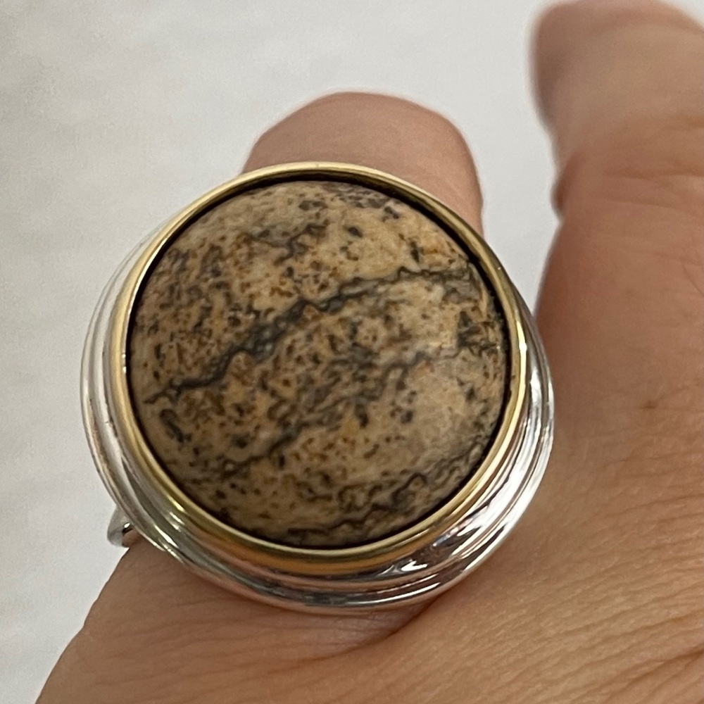 RLM Studio bold earth gem series picture jasper sterling 925 ring size 5.5